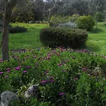 Trulli La Gufa * Ostuni