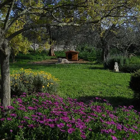 Σπίτι διακοπών Trulli La Gufa
