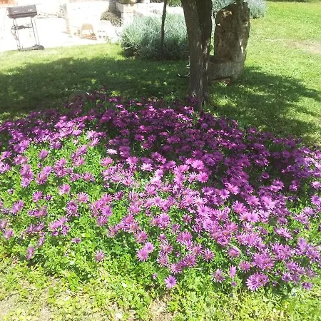 Trulli La Gufa Σπίτι διακοπών