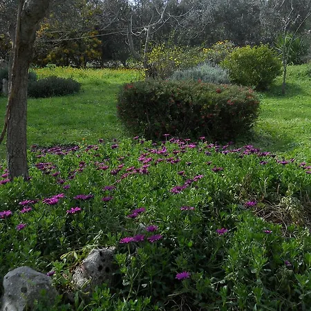 Trulli La Gufa * Ostuni